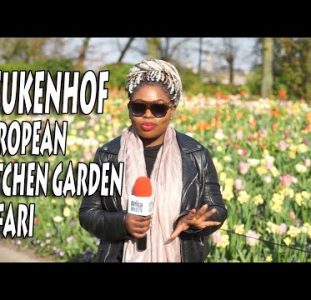 Keukenhof,  Amazing Dutch Tulip Garden – Afropean Safari