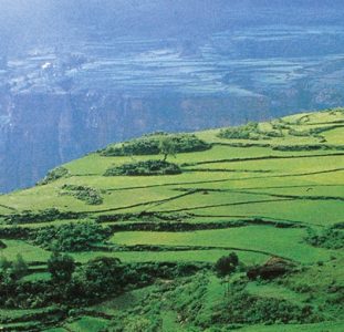 Rondreis ETHIOPIË – 30 dagen; Wierook en schotellippen