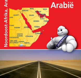 Wegenkaart – landkaart 745 Noordoost Afrika en Midden Oosten | Michelin