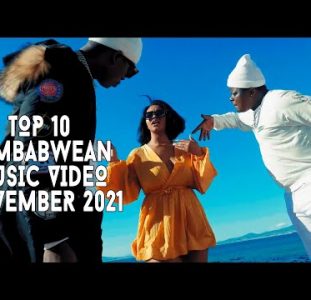 Top 10 New Zimbabwean Music Videos | November 2021