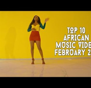 Top 10 African Music Videos | February 2022
