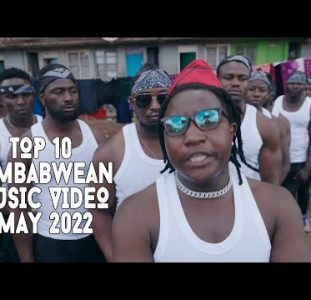 Top 10 New Zimbabwean Music Videos | May 2022