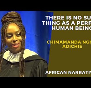 Chimamanda Adichie | There Is No Such Thing As A Perfect Human Being