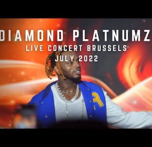 Diamond Platnumz | Live Concert Brussels | July 2022