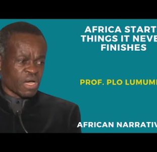 PLO Lumumba | African Leaders Have No Plans For Future Generations | There Is No Shortage Of Idiots