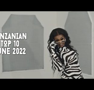 Top 10 New Tanzanian Music Videos | June 2022
