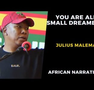You are Small Dreamers | Julius Malema On Rising Xenophobia In South Africa