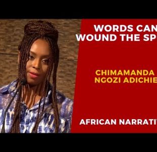 Chimamanda Ngozi Adichie | Words Can Wound Human Spirit | Americans Have A Need To Be Comforted