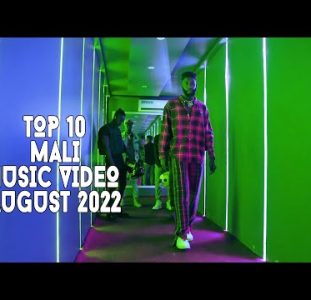 Top 10 New Mali Music Videos | August 2022