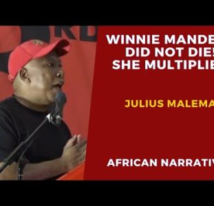 Julius Malema | Winnie Mandela Is Not Dead, She Only Multiplied