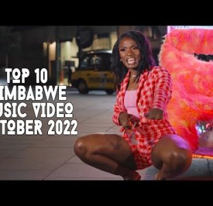 Top 10 New Zimbabwe Music Videos | October 2022