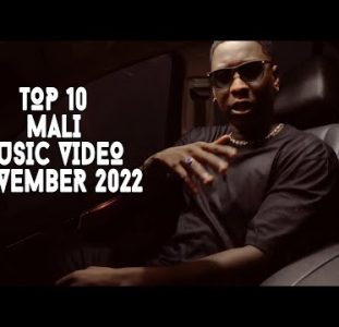 Top 10 New Mali Music Videos | November 2022