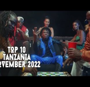 Top 10 New Tanzanian Music Videos | November 2022