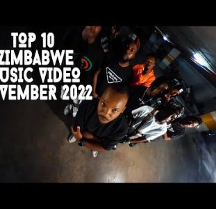 Top 10 New Zimbabwe Music Videos | November 2022