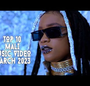 Top 10 New Mali Music Videos | March 2023