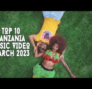Top 10 New Tanzania Music Videos   March 2023