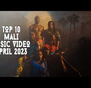 Top 10 New Mali Music Videos | April 2023