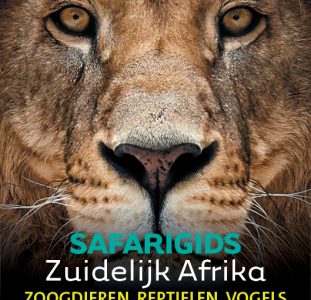 Reisgids – Natuurgids Safarigids Zuidelijk Afrika – Zuid-Afrika, Botsw