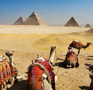 Groepsreis Egypte; Van Noord naar Zuid