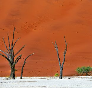 Groepsreis Zuidelijk Afrika in 3 weken; Kamperen tussen de nijlpaarden