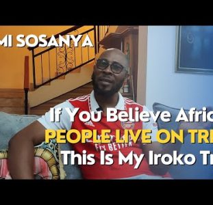 If You Still Believe African People Live On Trees, This Is My Iroko Tree | Remi Sosanya