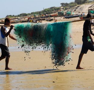 Groepsreis Madagascar; Unieke flora en fauna