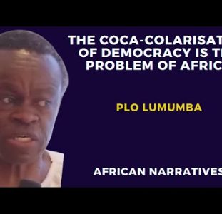 The Coca-Colarisation Of Democracy Is One Of The Problems Of Africa | PLO Lumumba