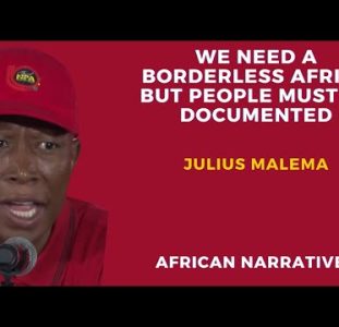 We Need A Borderless Africa But People Must Be Documented | Julius Malema