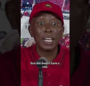 There Are Lots Of Illegal White Immigrants In South Africa | Julius Malema