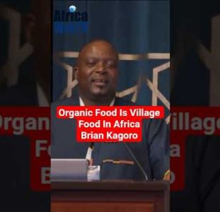 Organic Food Is Village Food In Africa | Brian Kagoro