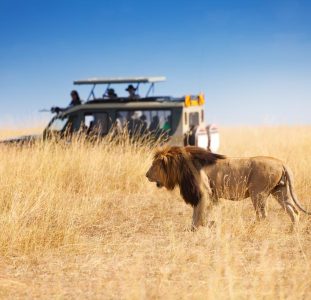 Startpakket Kenia Mombasa