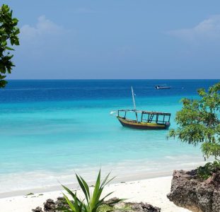 12 daagse safari Selous & Zanzibar deluxe