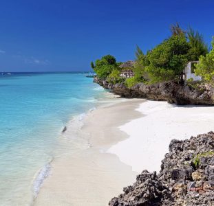 9 daagse safari Selous & Zanzibar deluxe