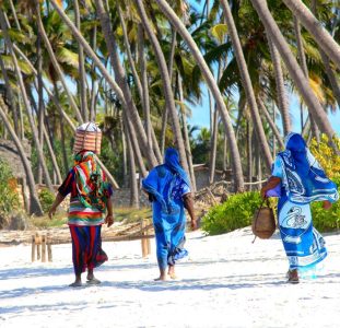 9 daagse safari Selous & Zanzibar