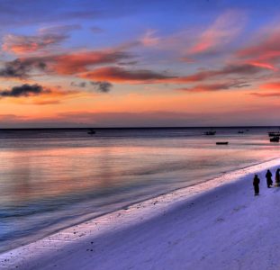 12 daagse safari Selous & Zanzibar