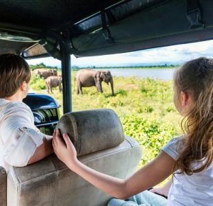 16-daagse familierondreis Zuid Afrika