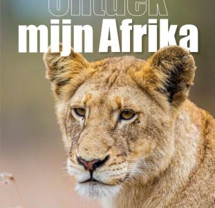 Reisgids Ontdek Mijn Afrika | OOG VOOR AFRIKA Publications
