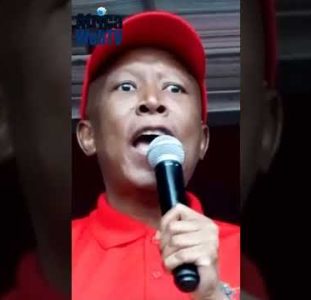 The Julius Malema Constitutional Logic