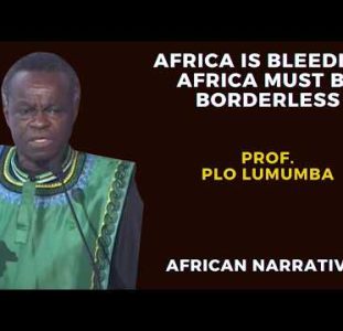 Nkrumah Was Right! We Need A Borderless Africa  Prof.| PLO Lumumba