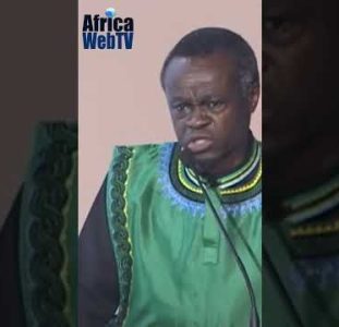 There Are No Opportunities For The Youth Of Africa | Prof.  PLO Lumumba