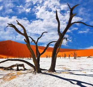 Rondreis ZUID-AFRIKA, NAMIBIË, BOTSWANA & ZIMBABWE – 26 dagen; Afrika op z’n best