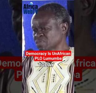 Democracy Is UnAfrican | Prof. PLO Lumumba
