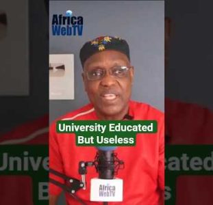 University Educated But Useless | Snippet From The African Narratives Podcast