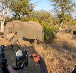 Rondreis langs de highlights van Zuid-Afrika