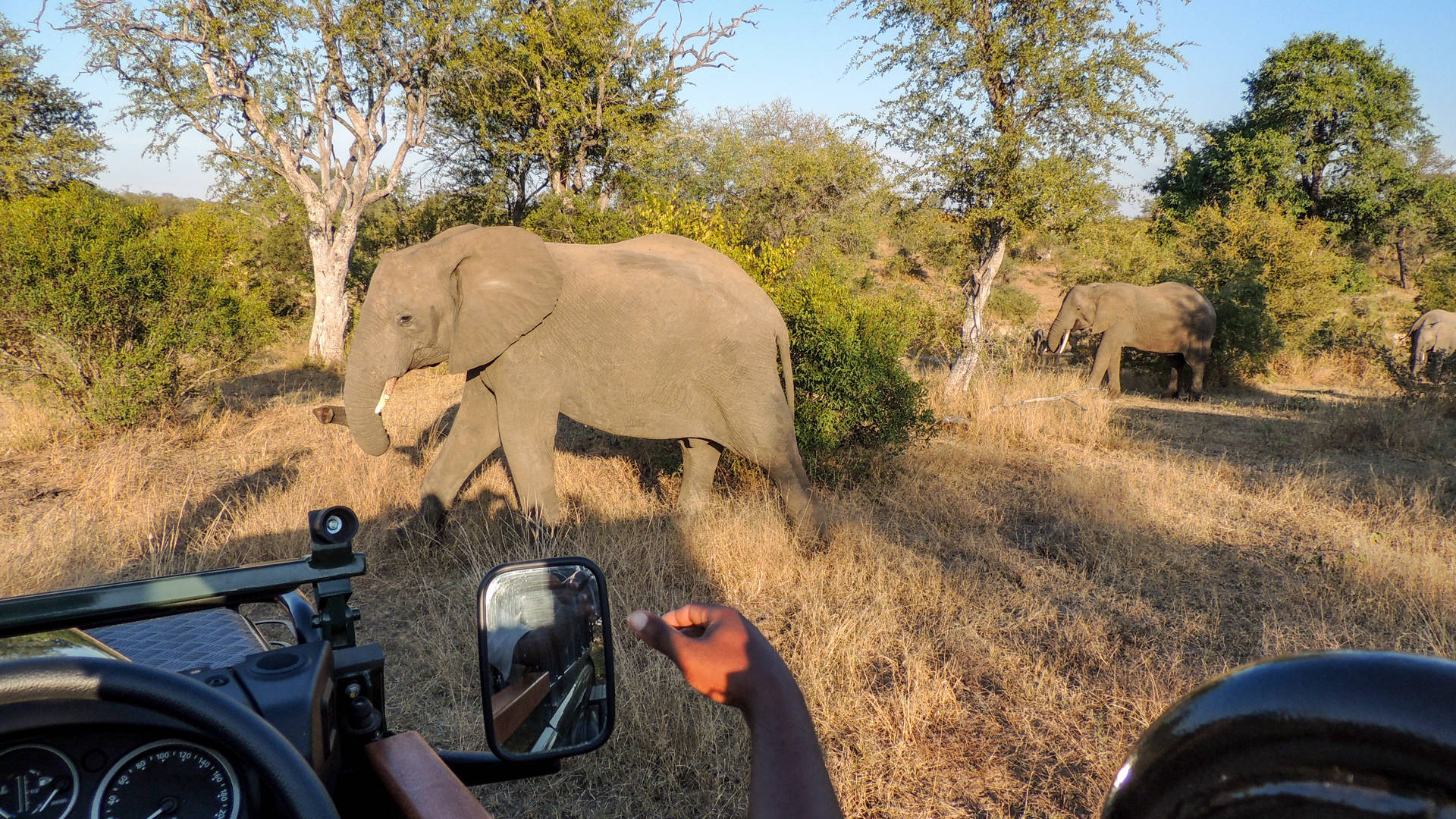 Rondreis langs de highlights van Zuid-Afrika