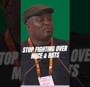 Africa Is Shooting Itself | Brian Kagoro