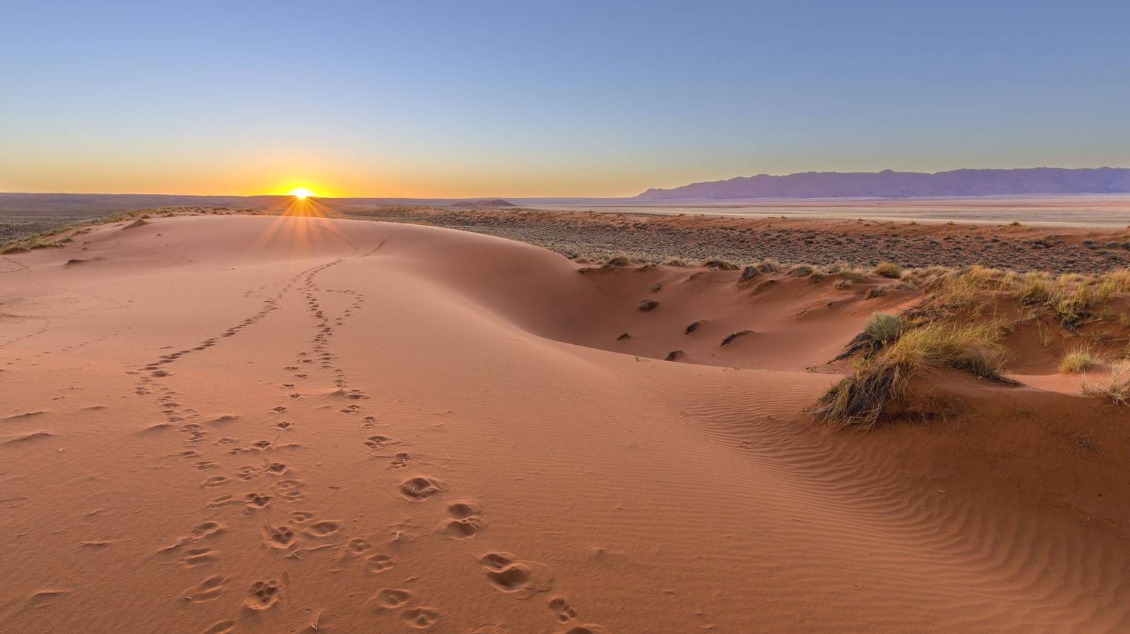 Veelzijdige rondreis door Namibië