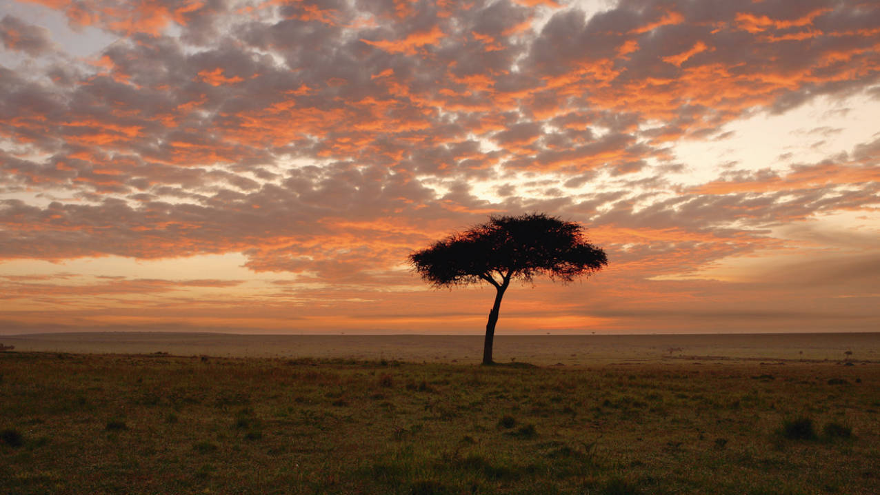 Korte safarireis door Kenia in 9 dagen