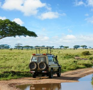 Safarireis Tanzania in 8 dagen
