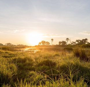 Rondreis Namibië & Botswana: perfecte match
